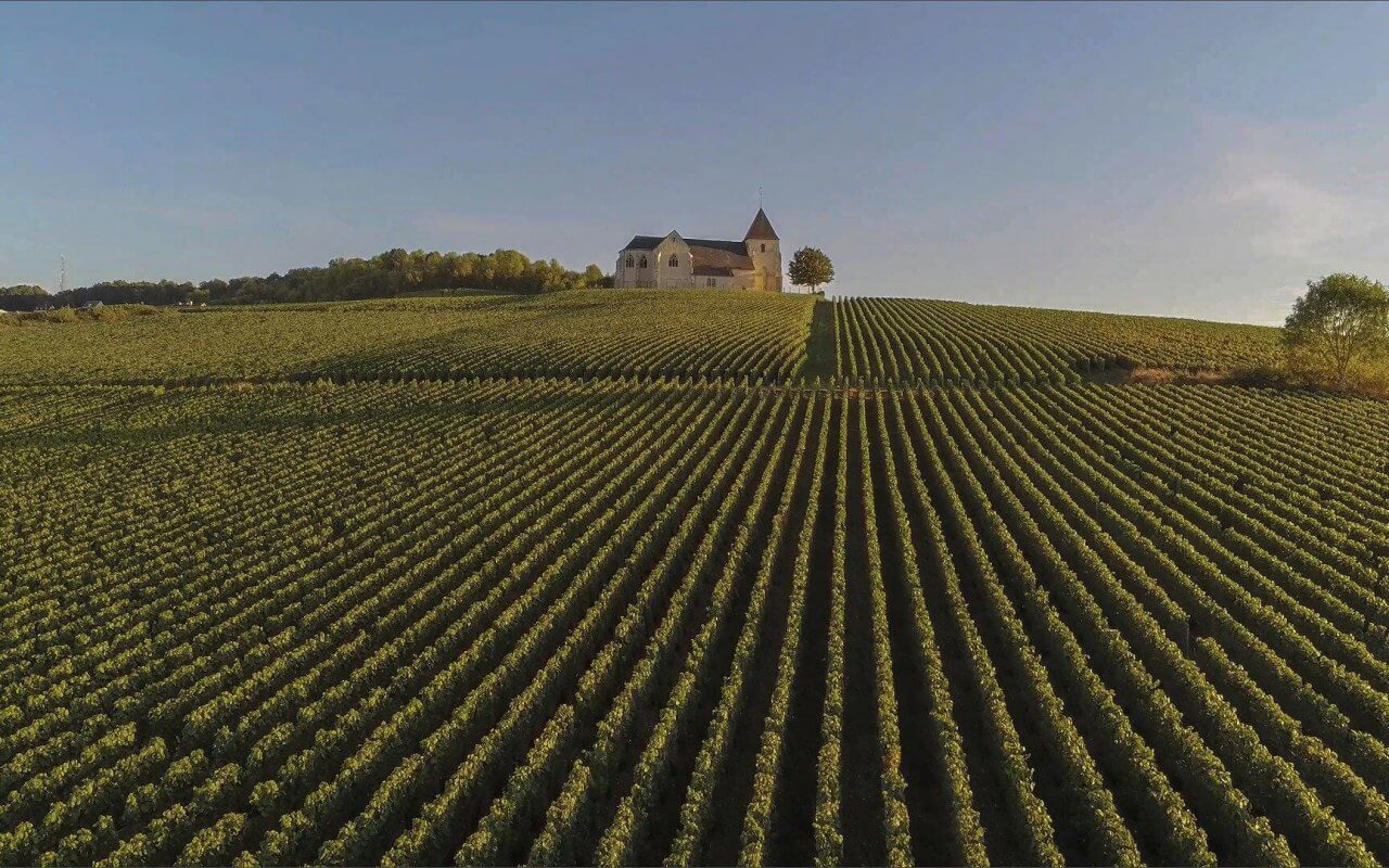 visite de la Champagne Reims