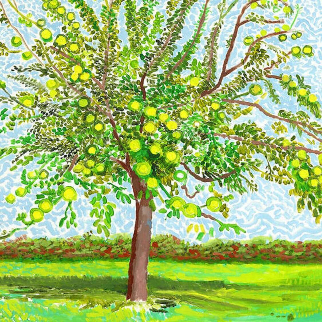 jl-paris-expositions-hockney-orangerie hockney orangerie
