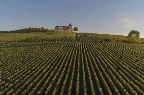 visite de la Champagne Reims