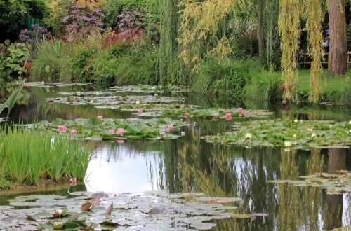 visite à giverny monet